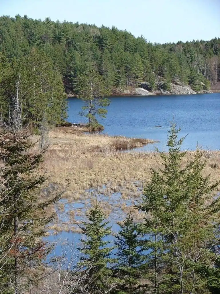 Why is Canada Landscape a Real Beauty? 8 canadian shield