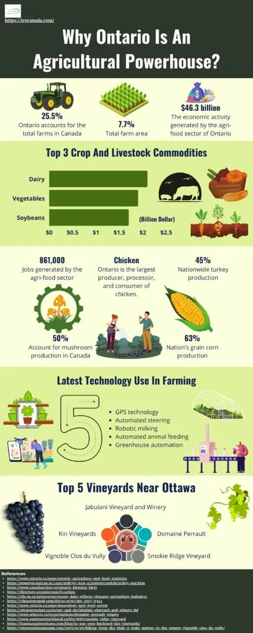 Travelogues: 7 Best Ottawa Breweries You Should Explore! Infographic That Suggests Why Ontario Is An Agricultural Powerhouse