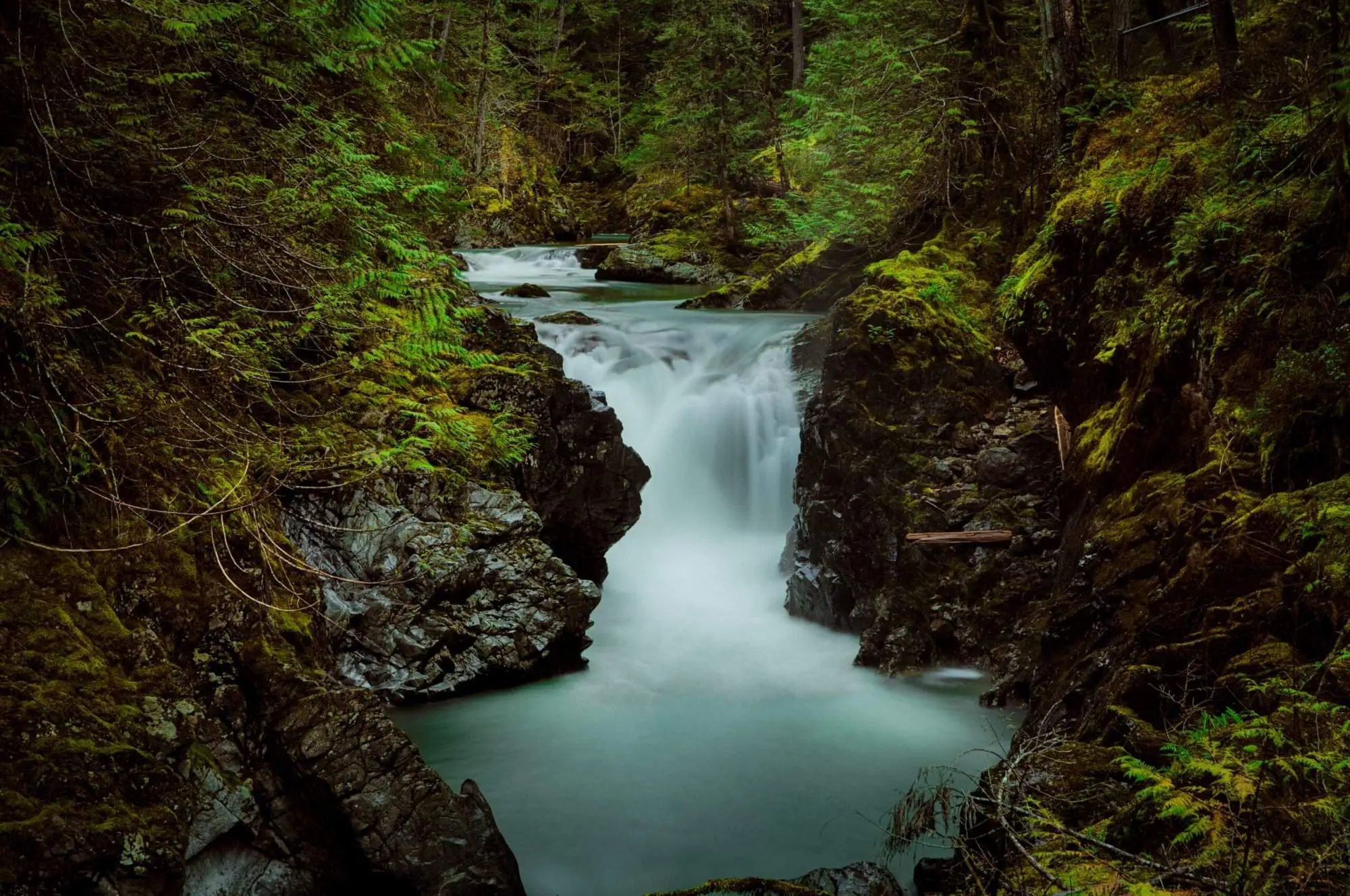 Awenda Provincial Park - 5 Best Activities To Do There! Campgrounds on vancouver island