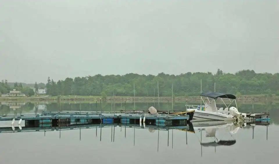 Camping New Brunswick: Best Campsites 15 Camping Parasol