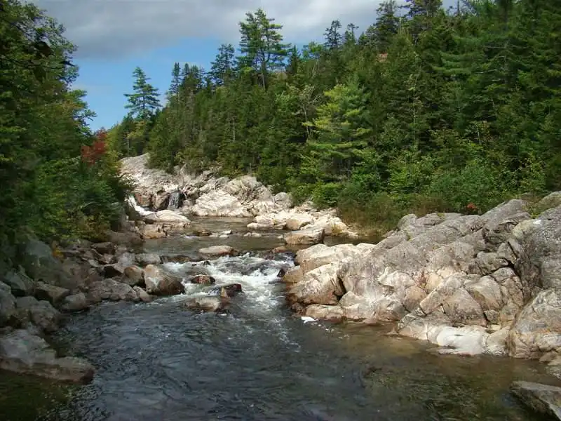 Camping New Brunswick: Best Campsites 11 Fundy National park
