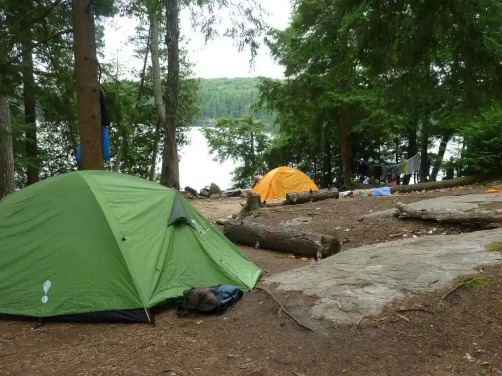 Haliburton Ontario: 14 Fun Things to Do! 4 Haliburton Forest and Wildlife Reserve