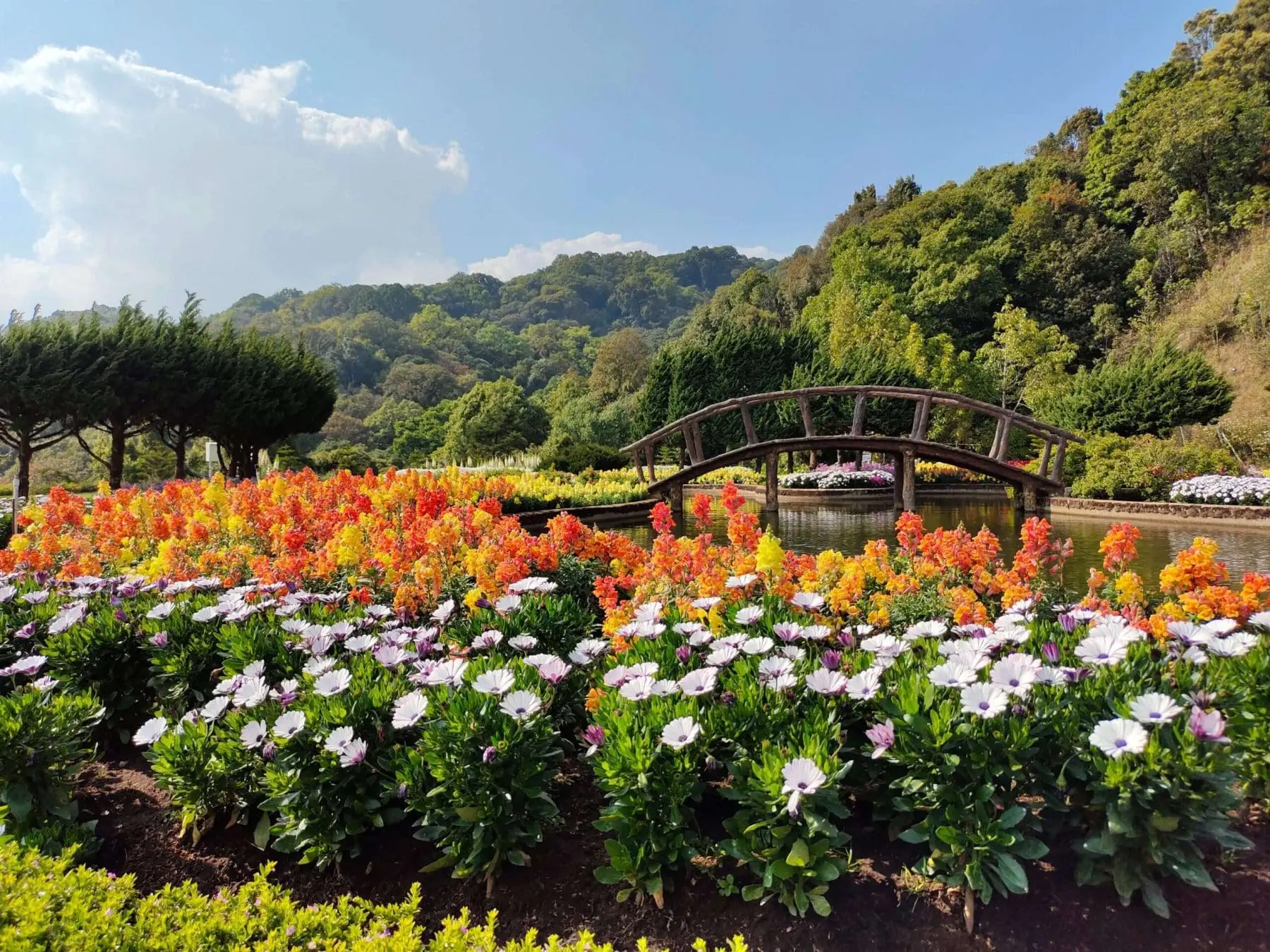 What To Do In Vancouver: Tourist Guide Highlights 5 garden