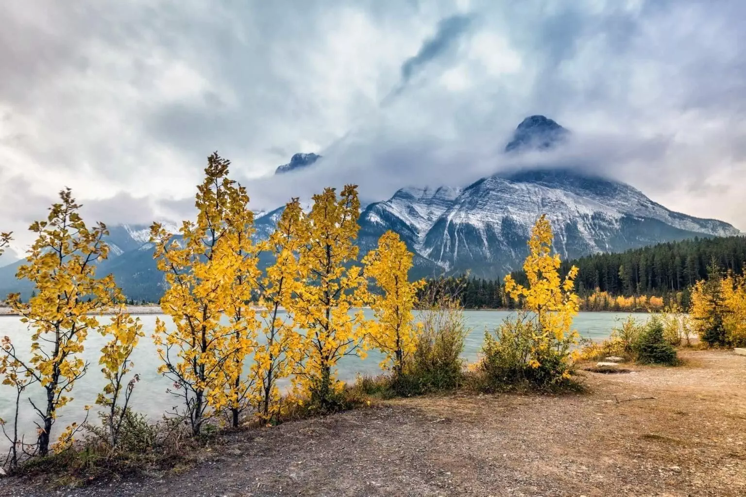 day trips from Canmore
