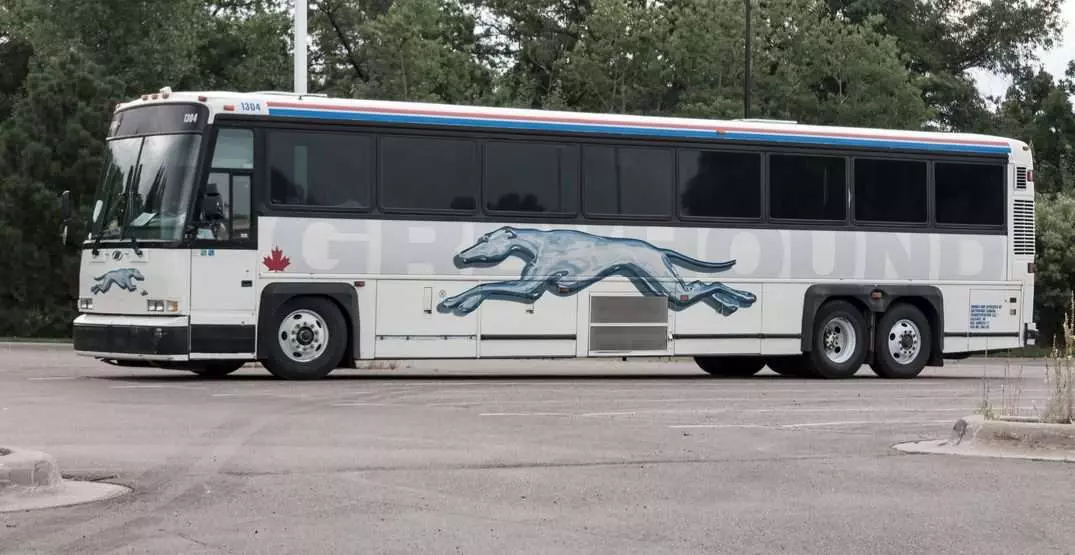 Greyhound bus services