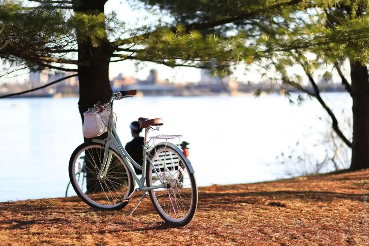 Biking Solutions at 8 Best Bike Shop Ottawa 7 Bike Shop Ottawa