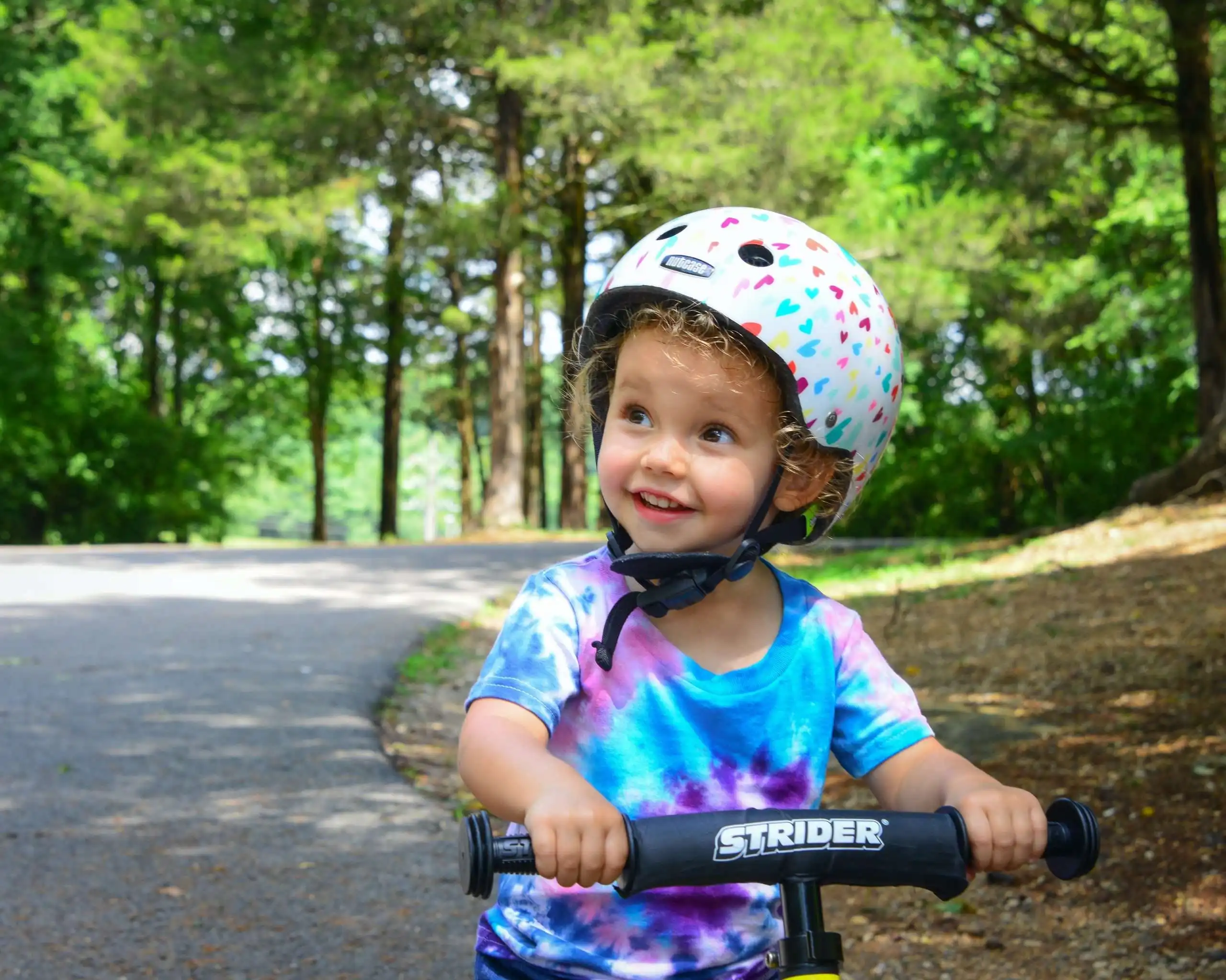 Biking Solutions at 8 Best Bike Shop Ottawa 15 Bike Shop Ottawa