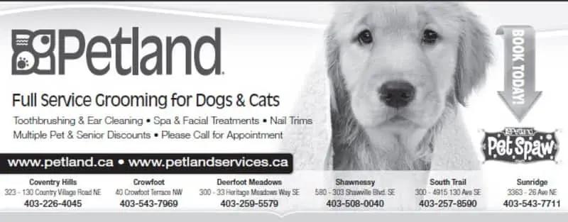 10 Best Pet Stores Calgary Petland - Pet stores Calgary