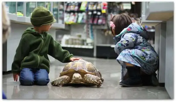 10 Best Pet Stores Calgary Pisces Pet Emporium - The Largest Family-owned, Independent Pet Store