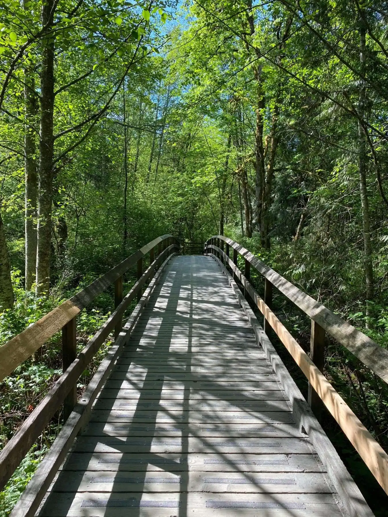 5 Best Places To Live In Canada 11 Surrey