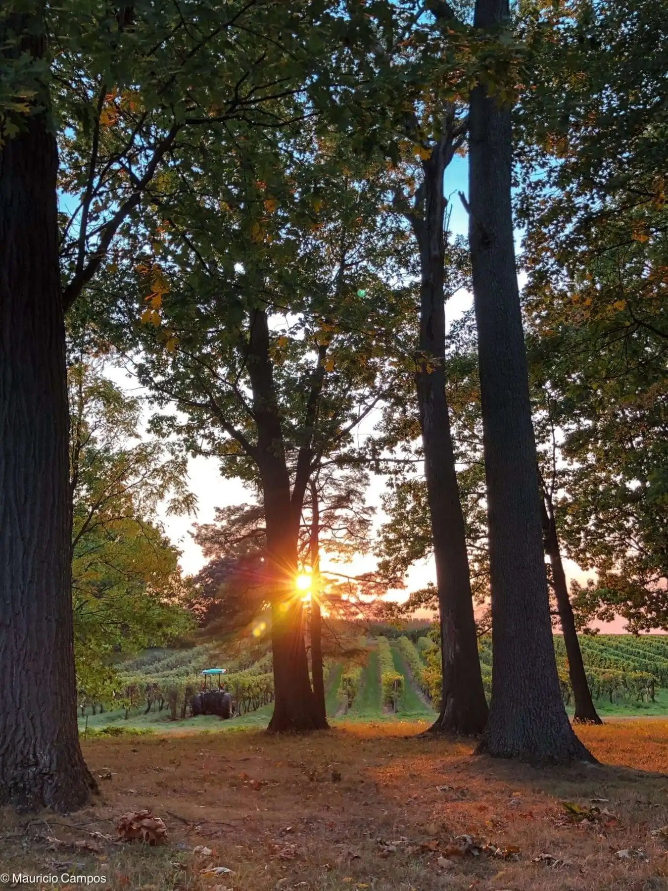 Road Trip Ontario: 10 Epic Attractions 9 Road Trip Ontario: Niagara On The Lake