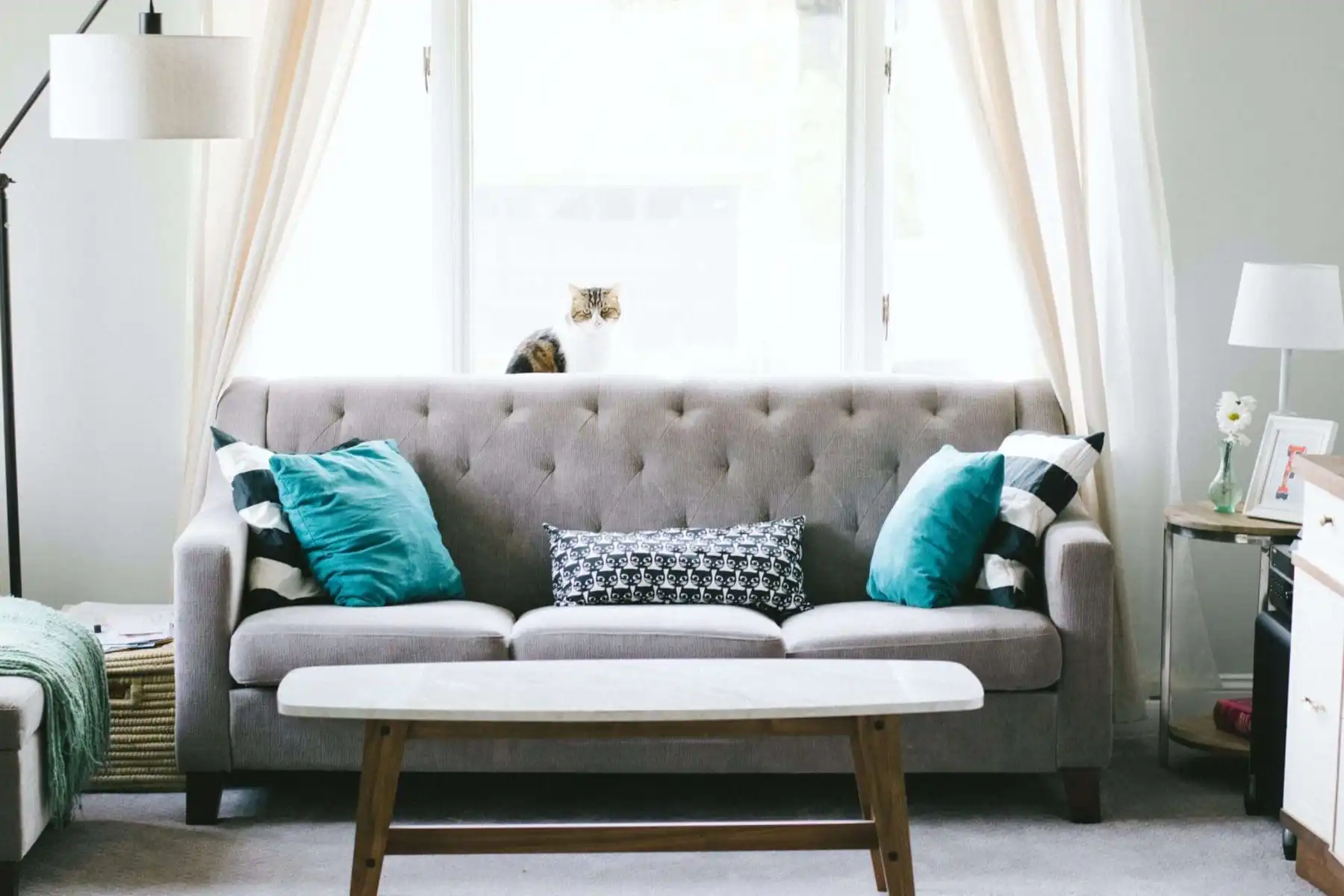 Top 10 Calgary Painters You Should Know About 6 Calgary Painters