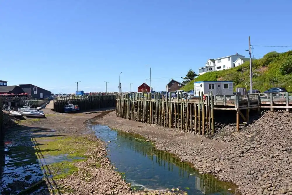 Guide To Fundy National Park: 7 Best Things To Do 11 Guide To Fundy National Park: 7 Best Things To Do 5