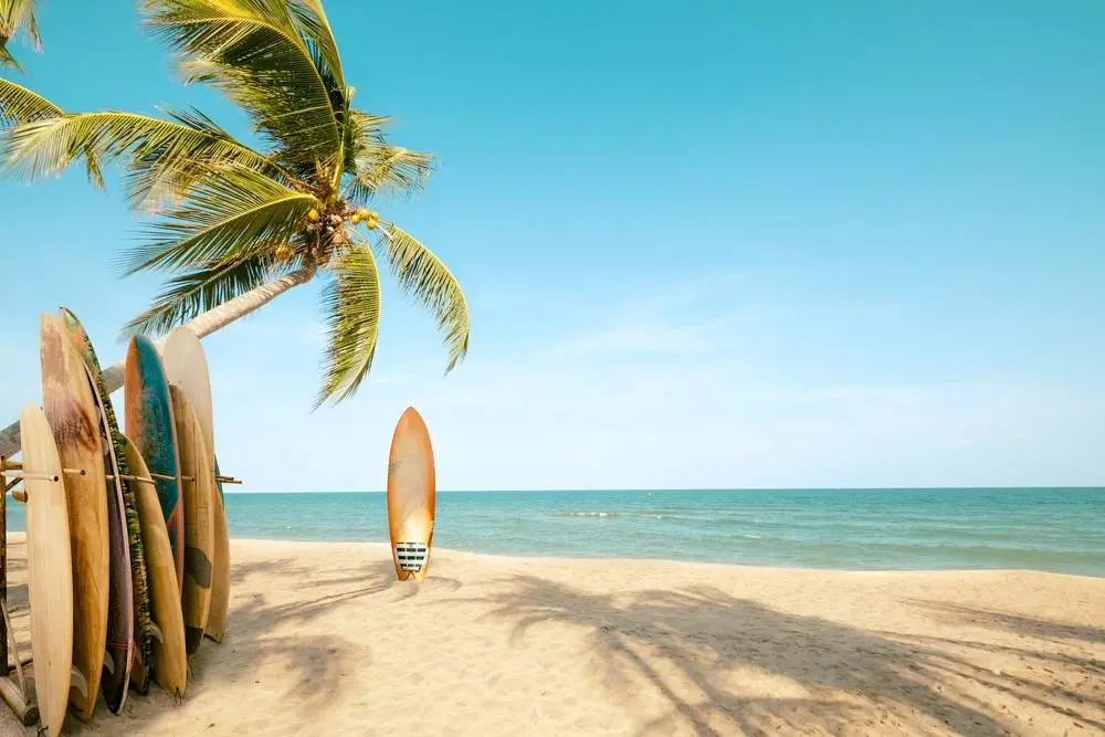 Best Surf Lessons Tofino - 6 Places to Definitely Check Out