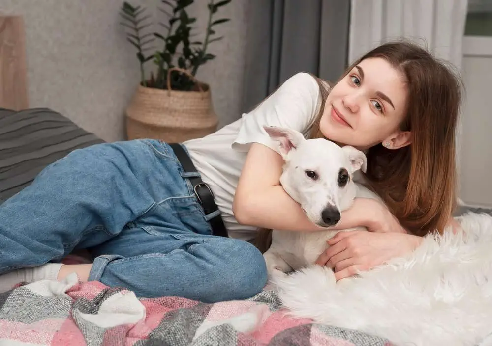 Dog Daycare Victoria Bc -10 Top Rated Dog Daycare Dog Daycare Victoria Bc