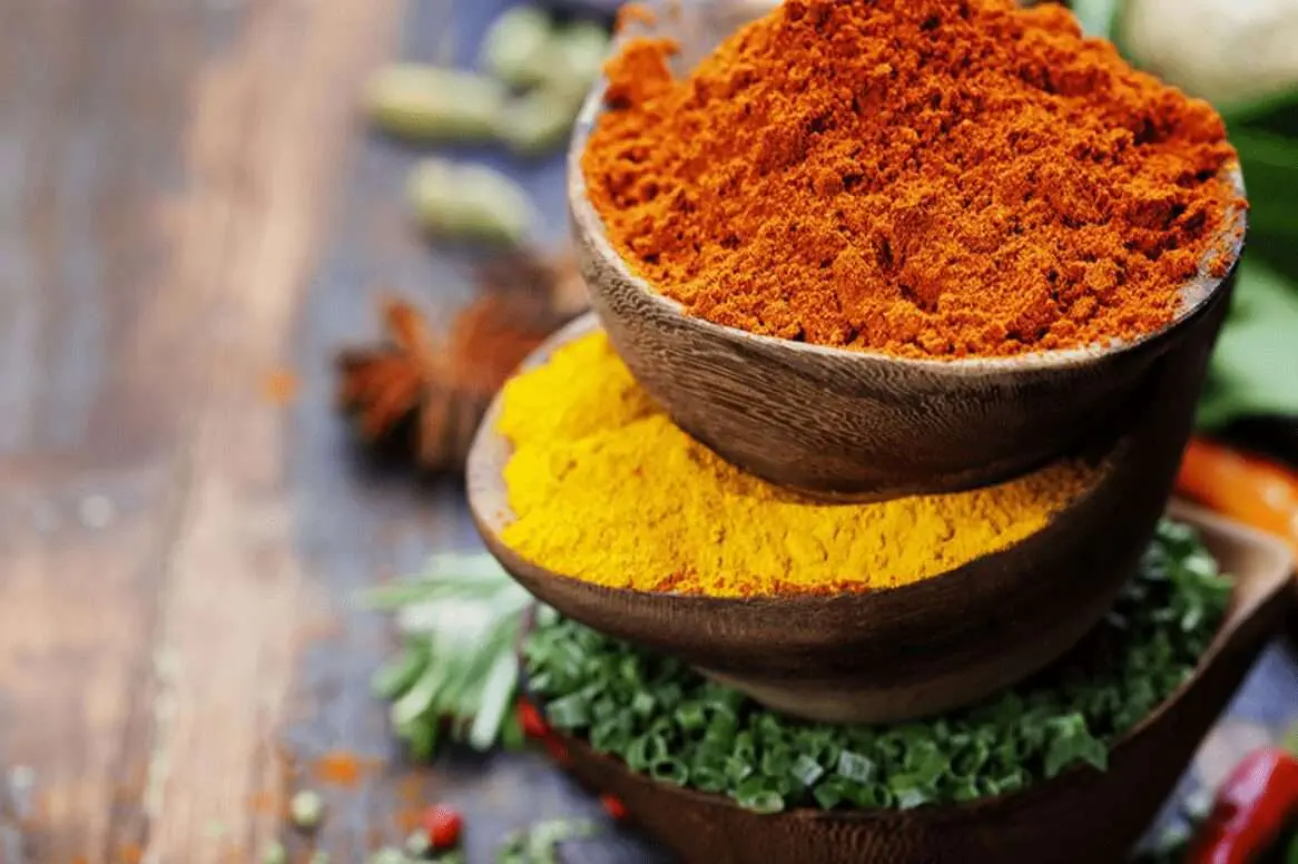 The Top Indian Food in Toronto: Restaurants Worth Visiting!
