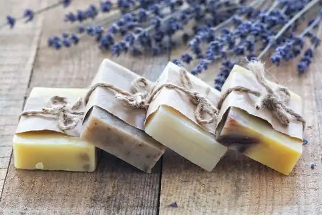 A Guide To 10 Best Farmers Market Toronto 7 farmers market toronto