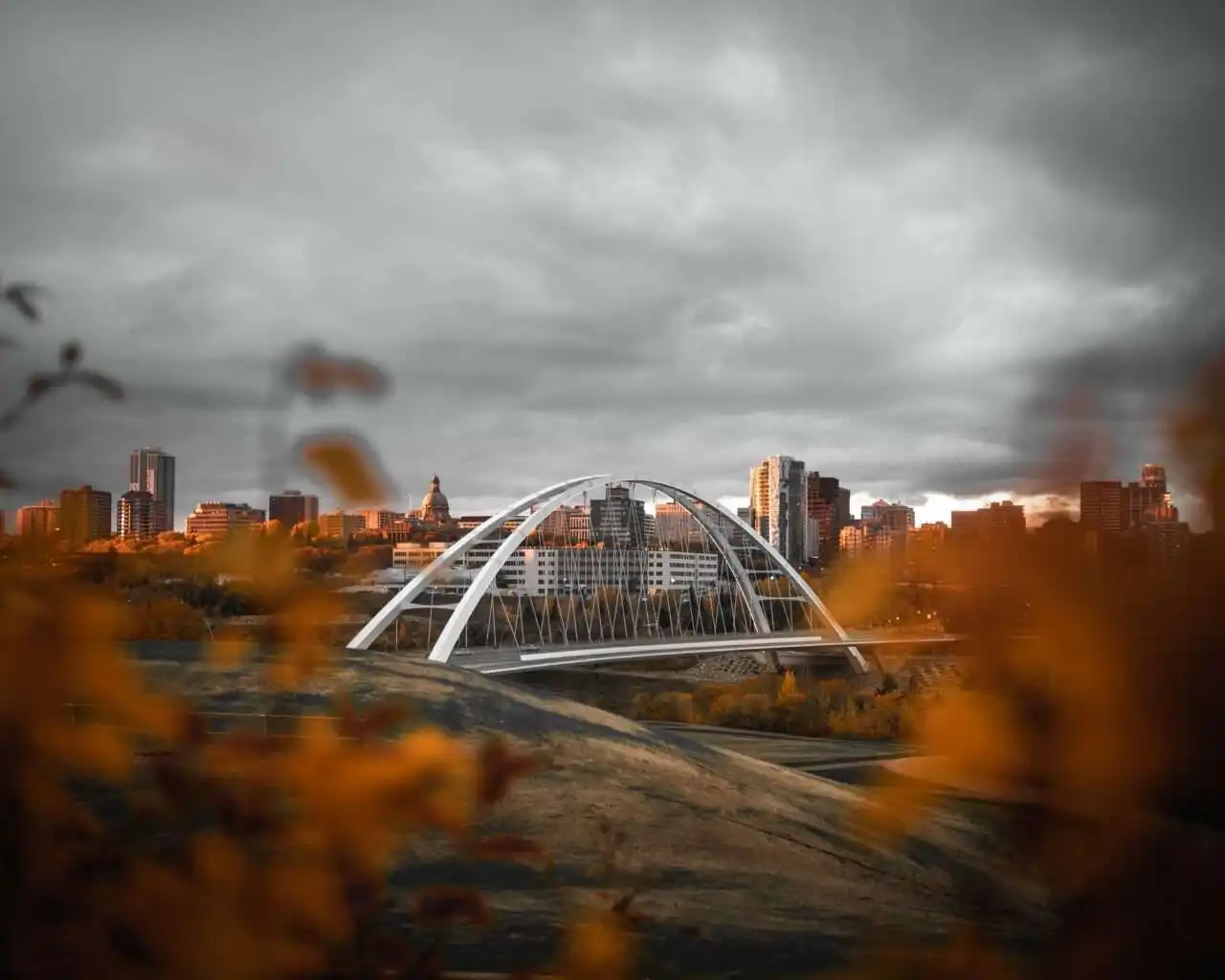 Edmonton Public Library: Explore The Famous Library and Its Services 7 Edmontom Public Library