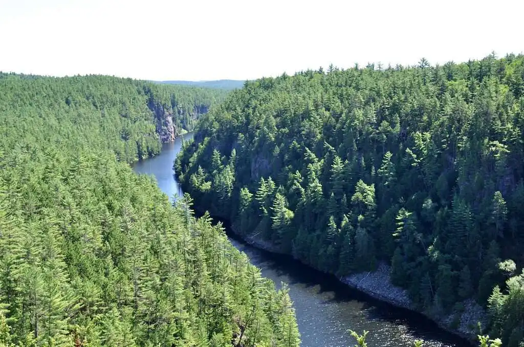 USA vs Canada: How Gambling Can Differ 12 Algonquin Park, Barron Canyon
