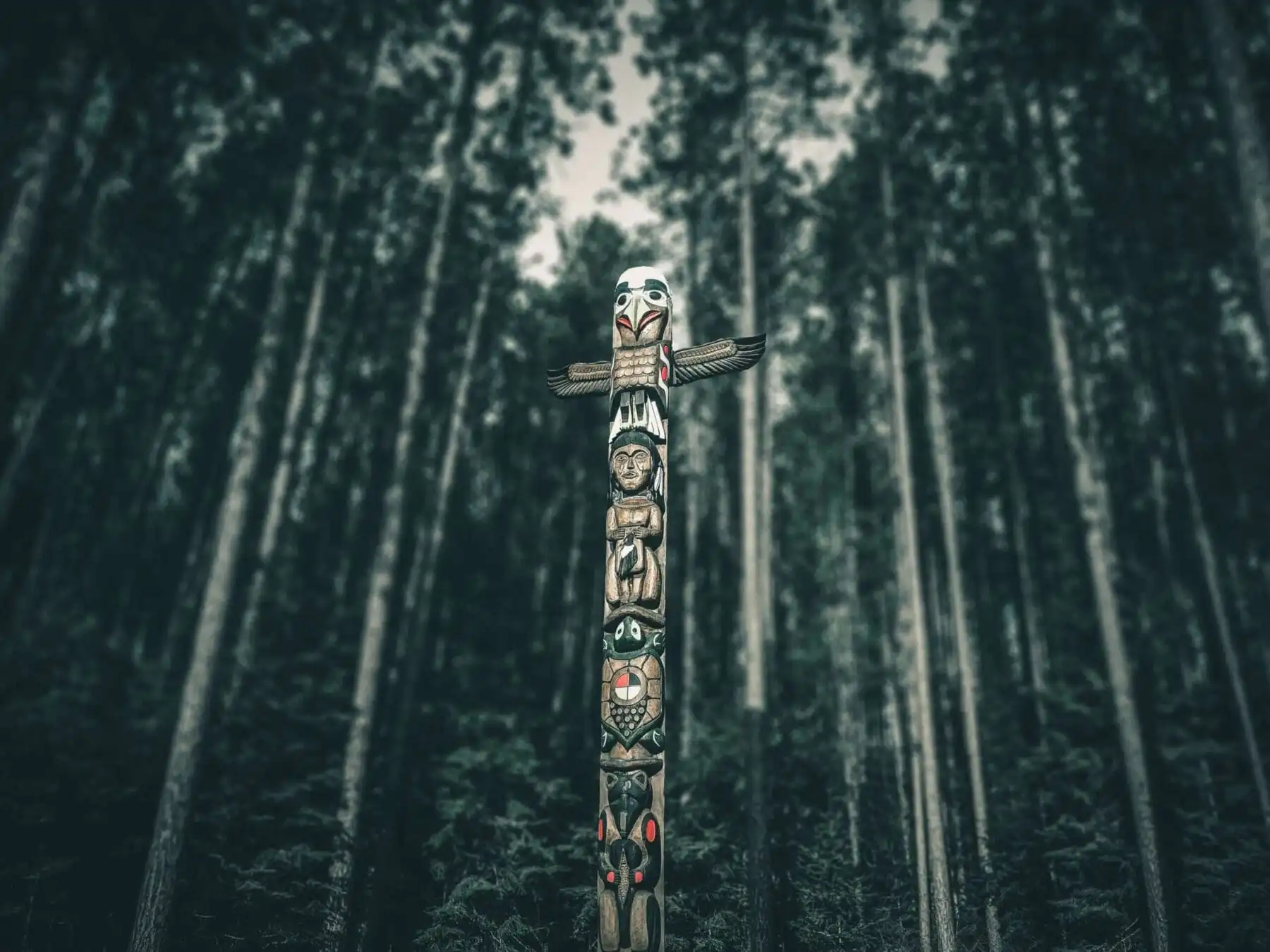 USA vs Canada: How Gambling Can Differ 7 Algonquin Park