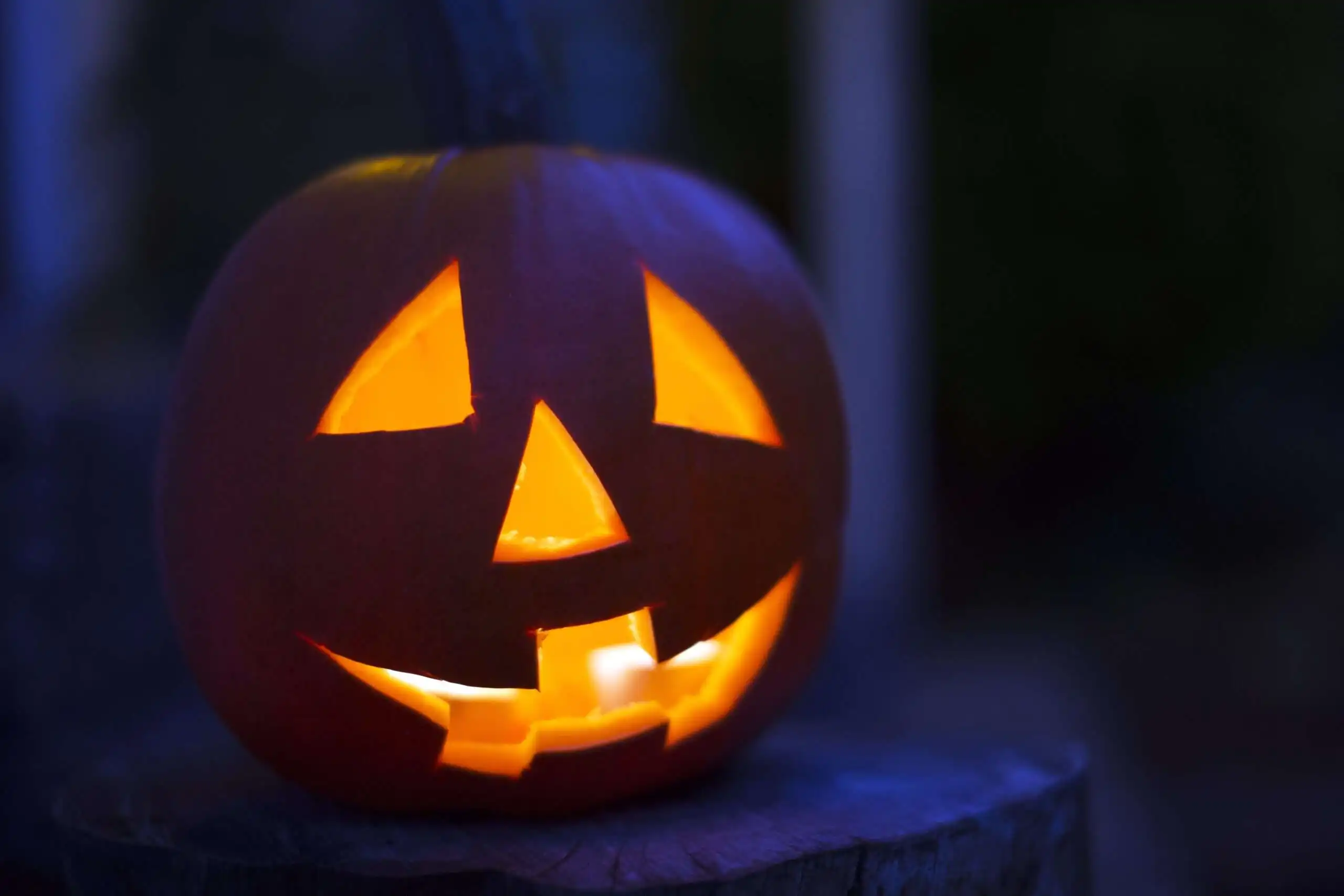Jack O Lantern Designs: 35 Fascinating Ideas For You 7 Jack o lantern designs