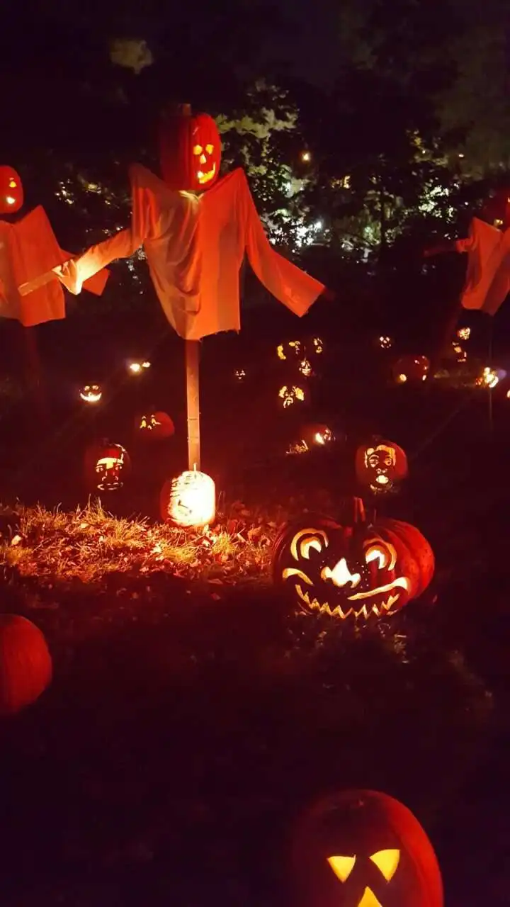 Jack O Lantern Designs: 35 Fascinating Ideas For You 10 Jack O Lantern Designs: 35 Fascinating Ideas For You 6