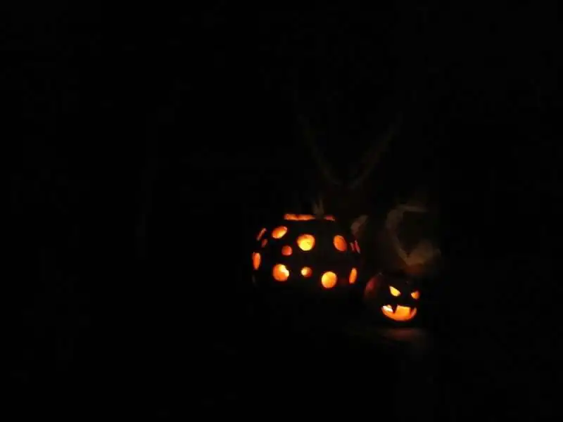 Jack O Lantern Designs: 35 Fascinating Ideas For You 8 Jack O Lantern Designs: 35 Fascinating Ideas For You 4