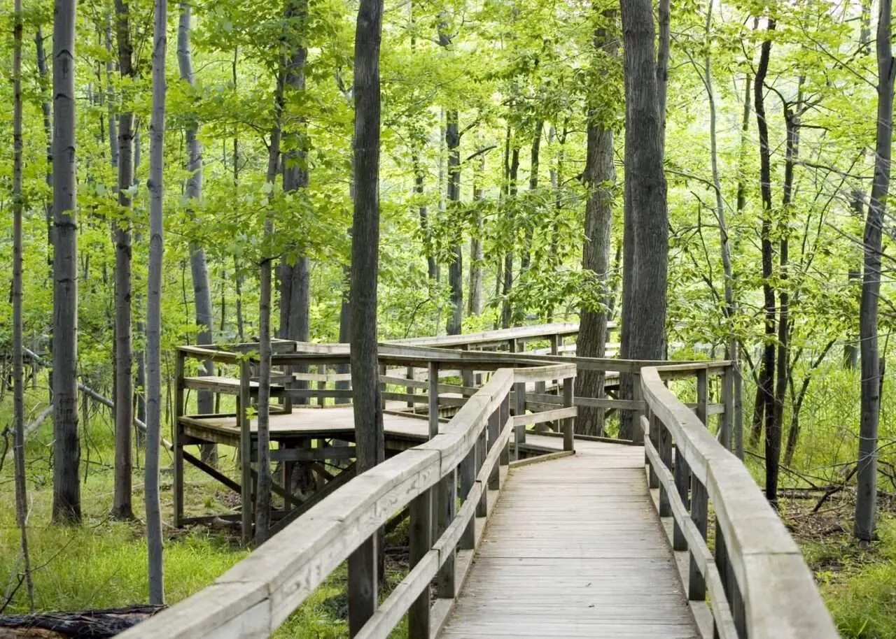 Red Lake Ontario: 19 Best Fun Things To Do There