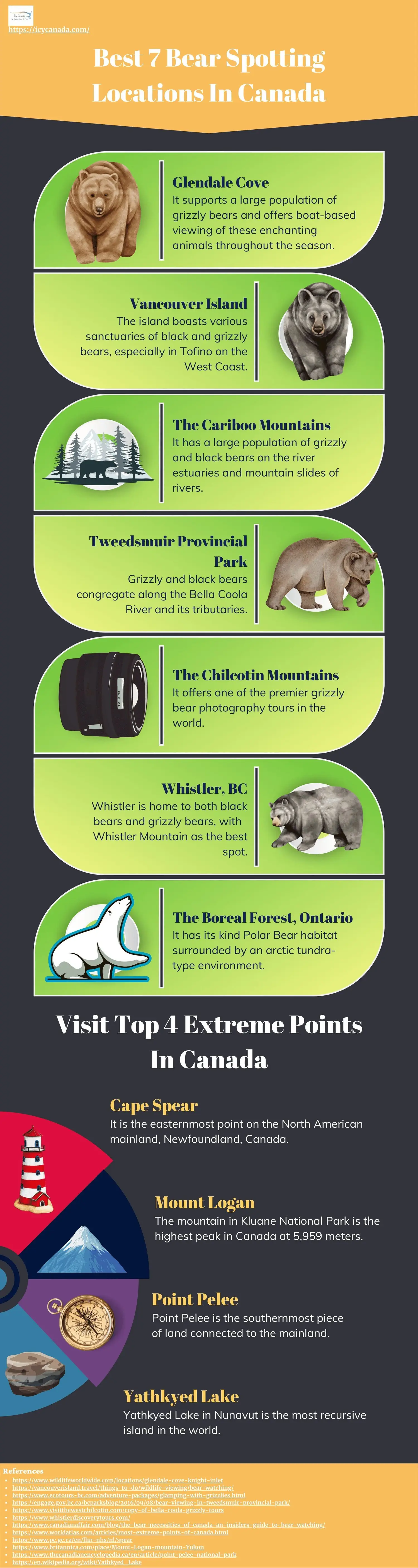 9 Best Places to See Aurora Borealis in Canada Best 7 Bear Spotting Locations In Canada