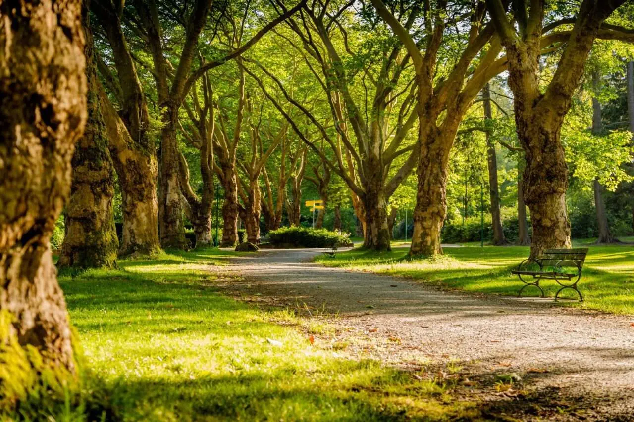 Fifteen Best Places To Visit In Vancouver BC