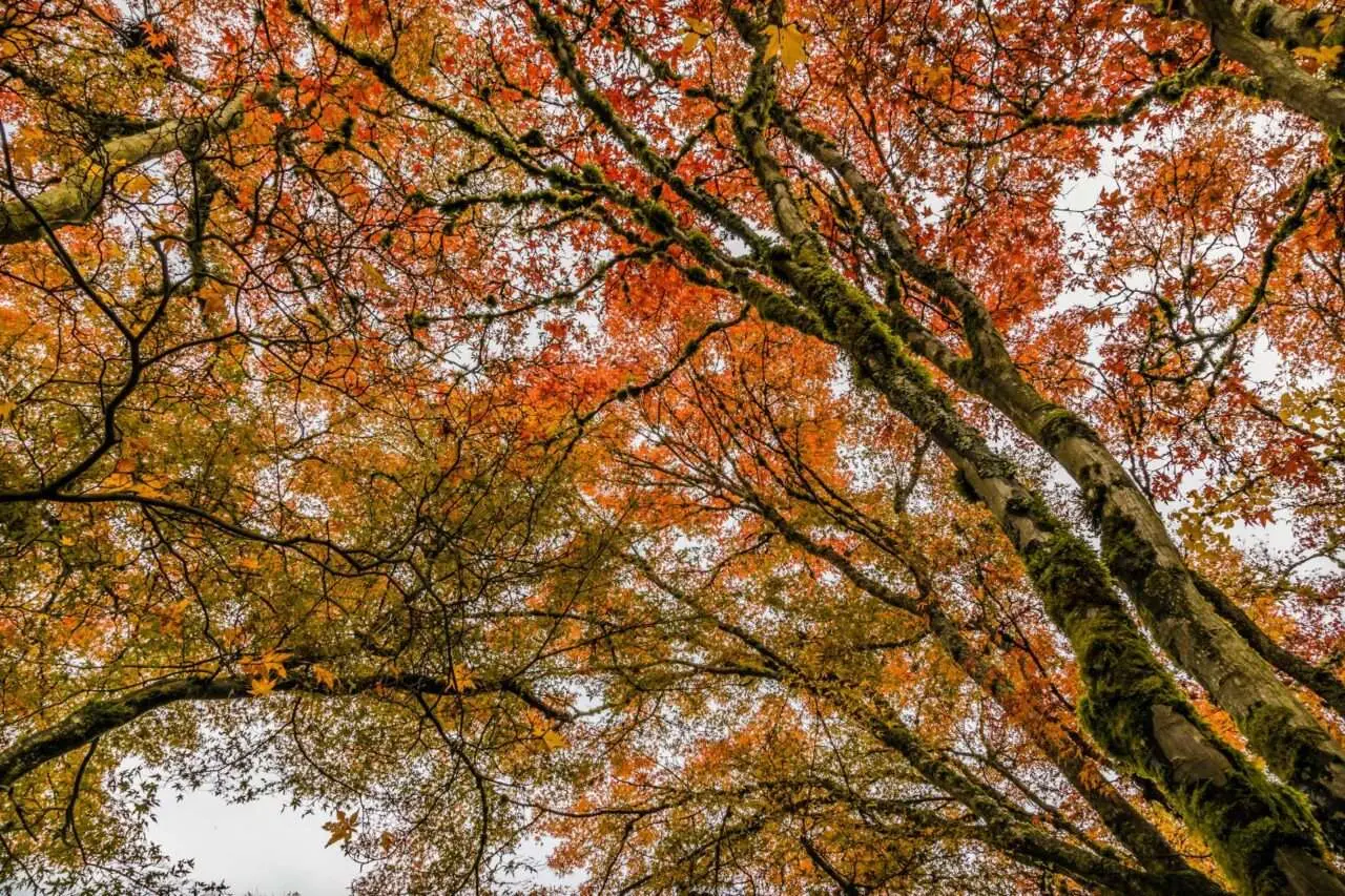 Fifteen Best Places To Visit In Vancouver BC