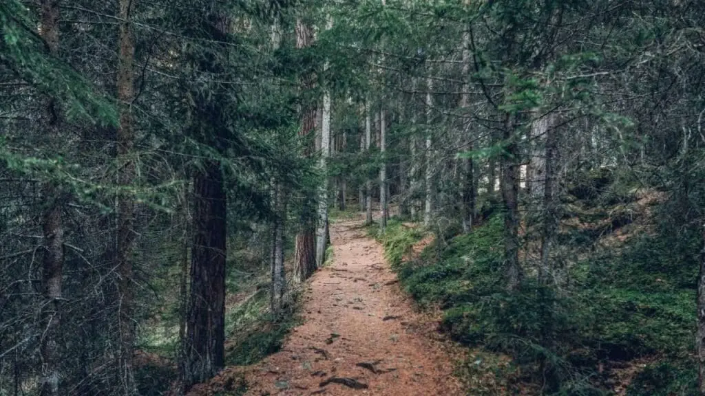 Bronte Creek Provincial Park: An Amazing Guide 2022 Bronte Creek Provincial Park