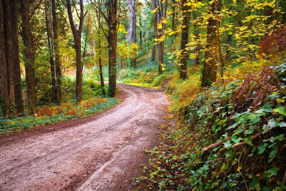 7 Fun Things To Do At Balsam Lake Provincial Park Hiking Trail