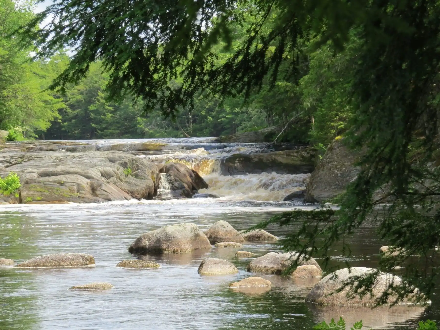 Kejimkujik National Park: 16 Best Things To Do 7 Kejimkujik National Park: 16 Best Things To Do 2
