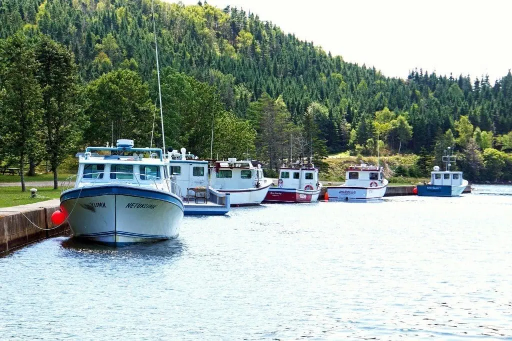 Cape Breton Island : 17 Wonderful Facts to Know