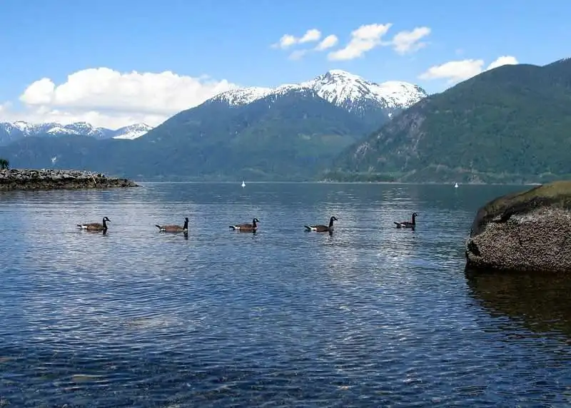 The 11 Best Road Trips In Canada 17 Porteau Cove Provincial Park