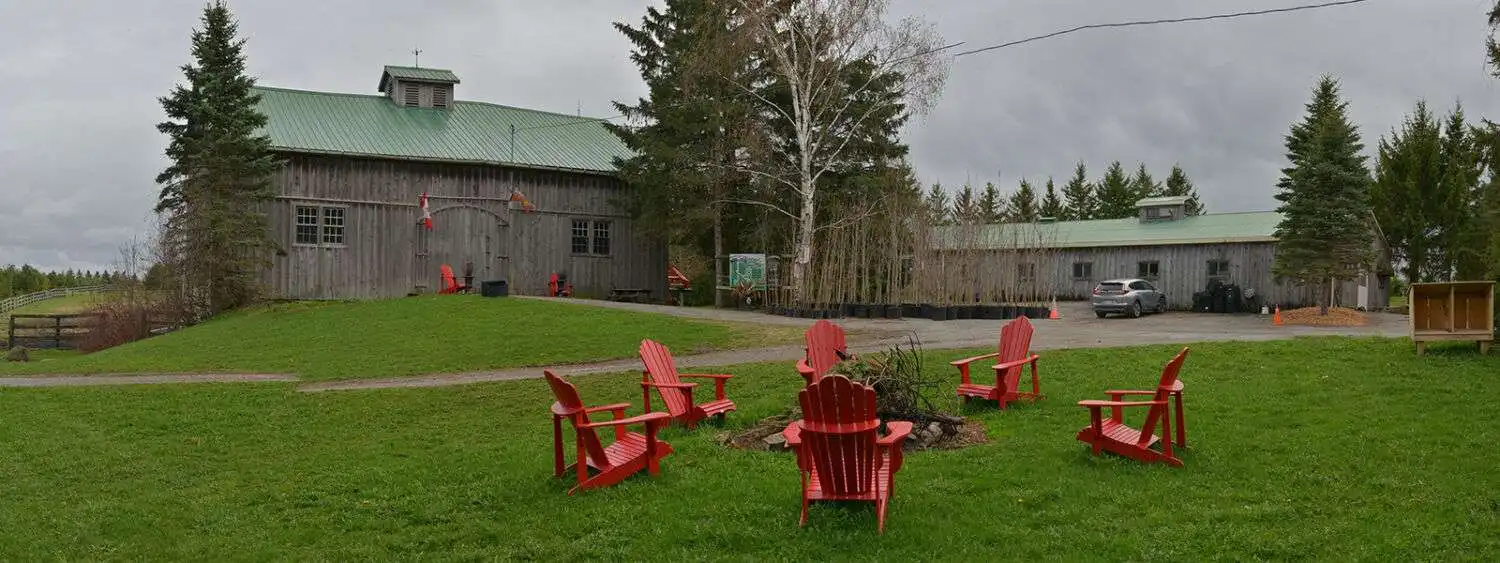 5 Spectacular Christmas tree farm in Ontario 10 Elliott tree farm