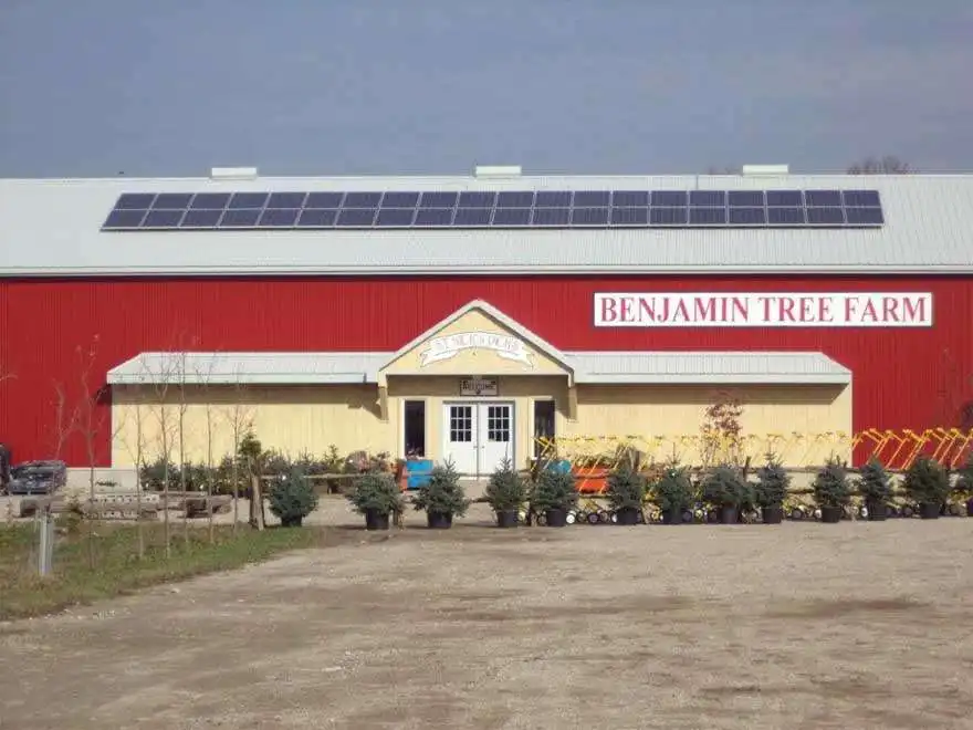 5 Spectacular Christmas tree farm in Ontario 9 Benjamin Christmas tree farm