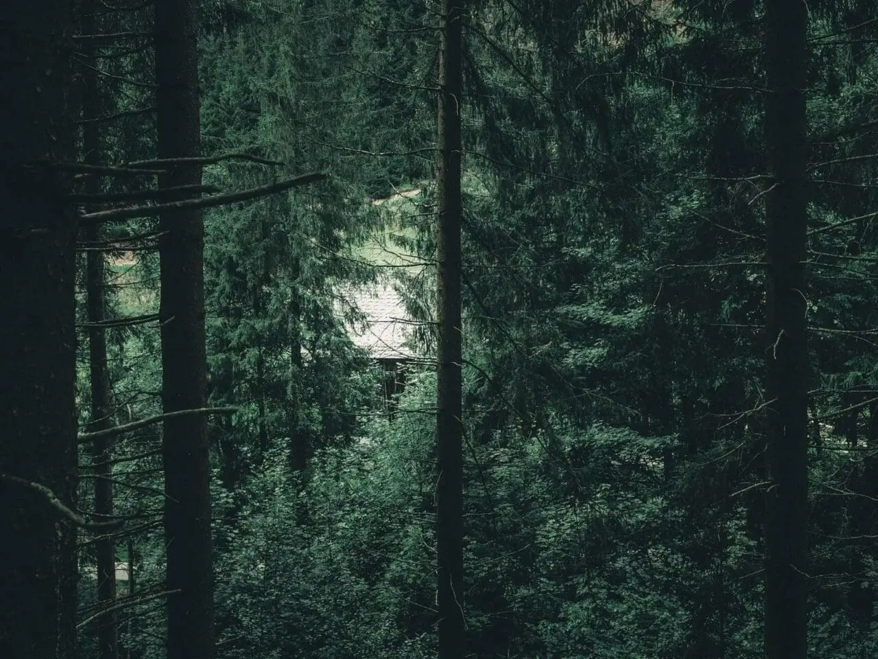 Lake Provincial Park