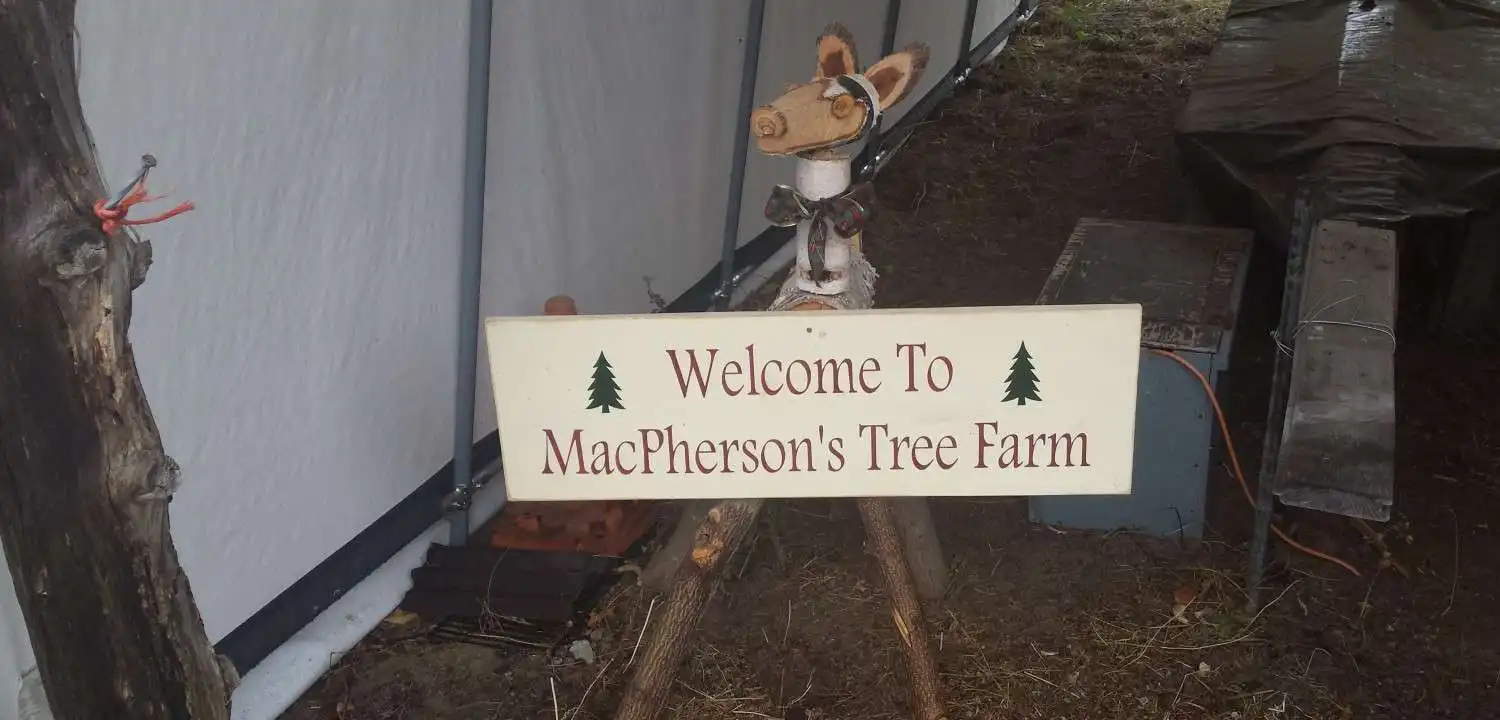 5 Spectacular Christmas tree farm in Ontario 8 Macpherson tree farm