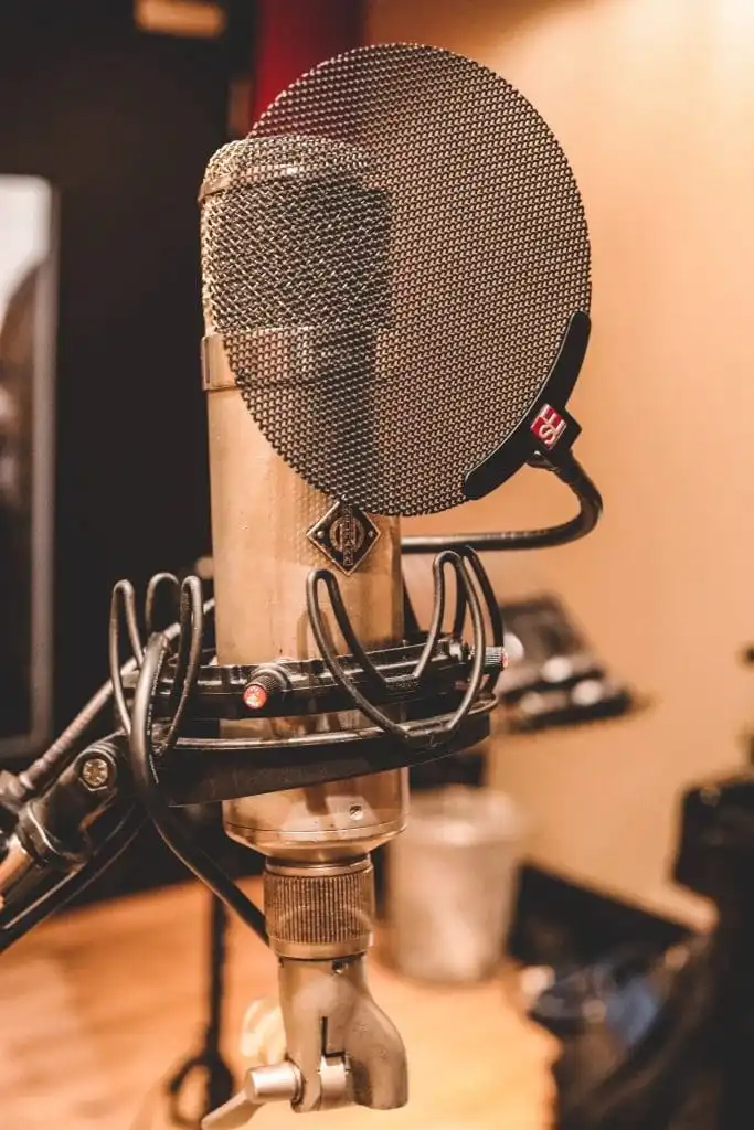 USA vs Canada: How Gambling Can Differ 9 Recording mic