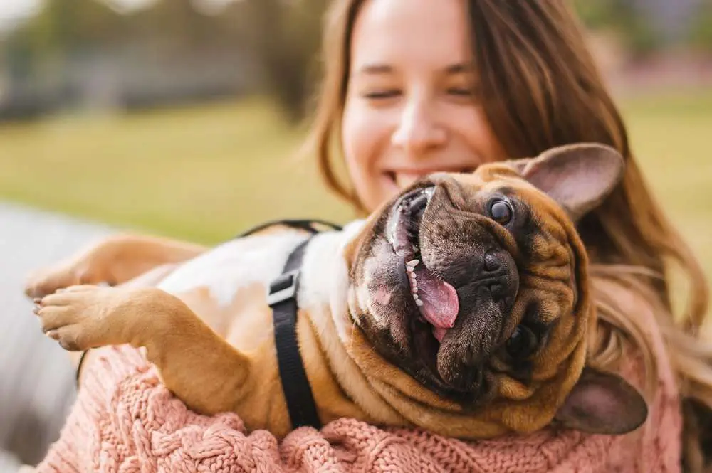 Pet Policy of Cabelas Ottawa: 6 Important Things to Know Cabela