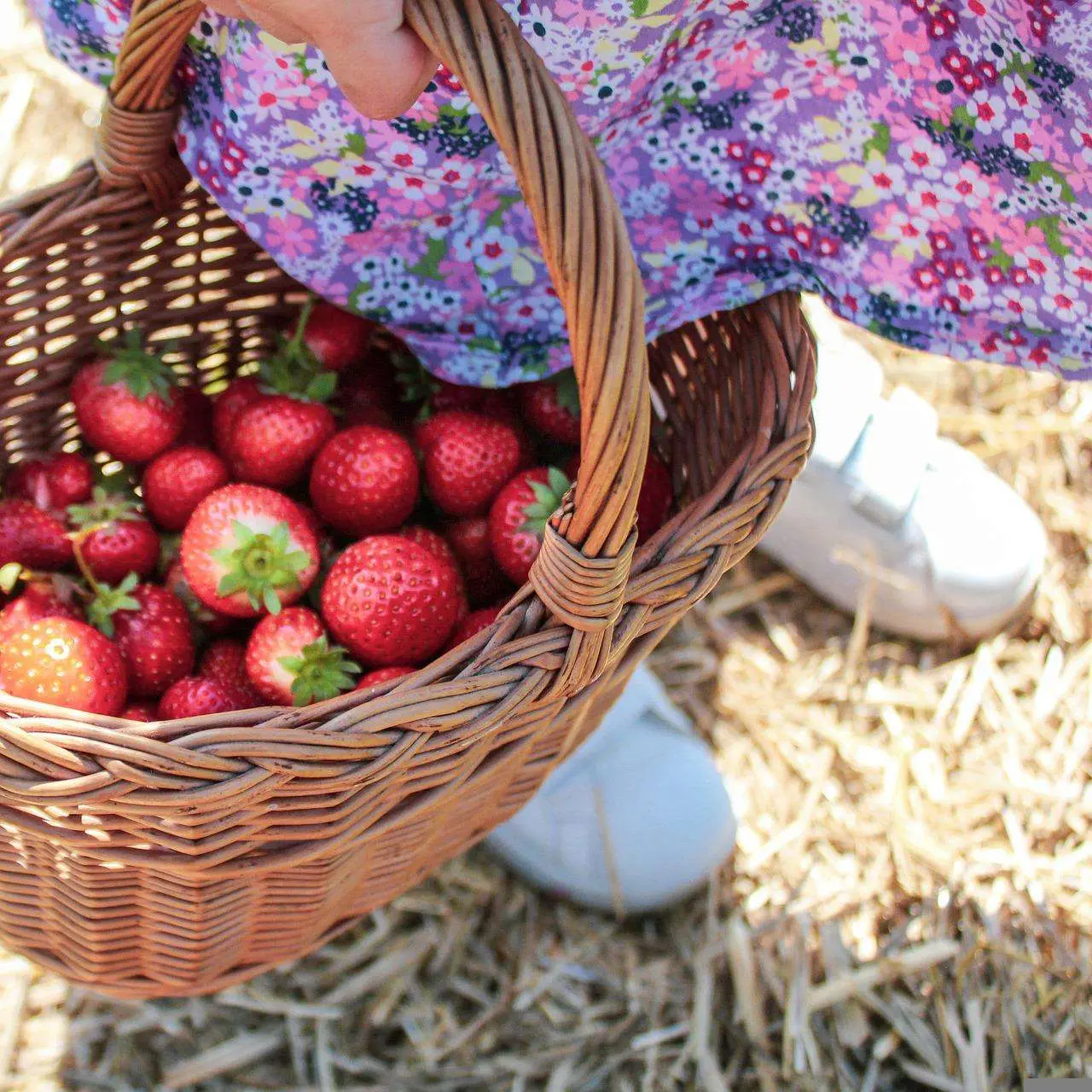 3 Best Things to do at Barrie Hill Farms