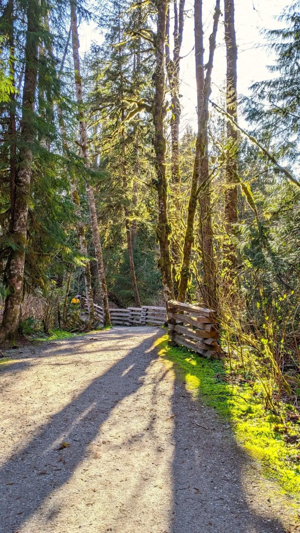 8 best mountains in Ontario maple ridge , canada