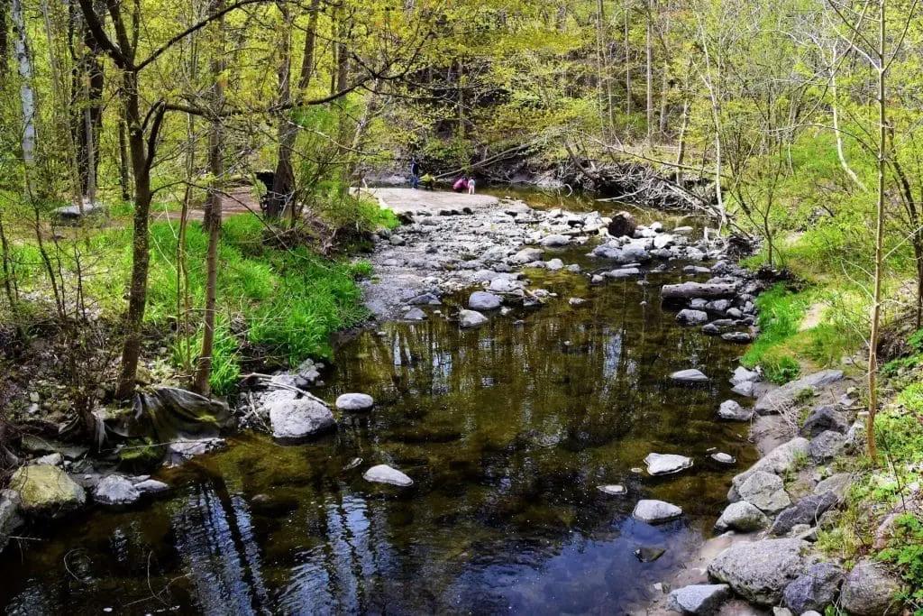 Toronto Fun Guide: Everything You Need To Know Toronto fun guide