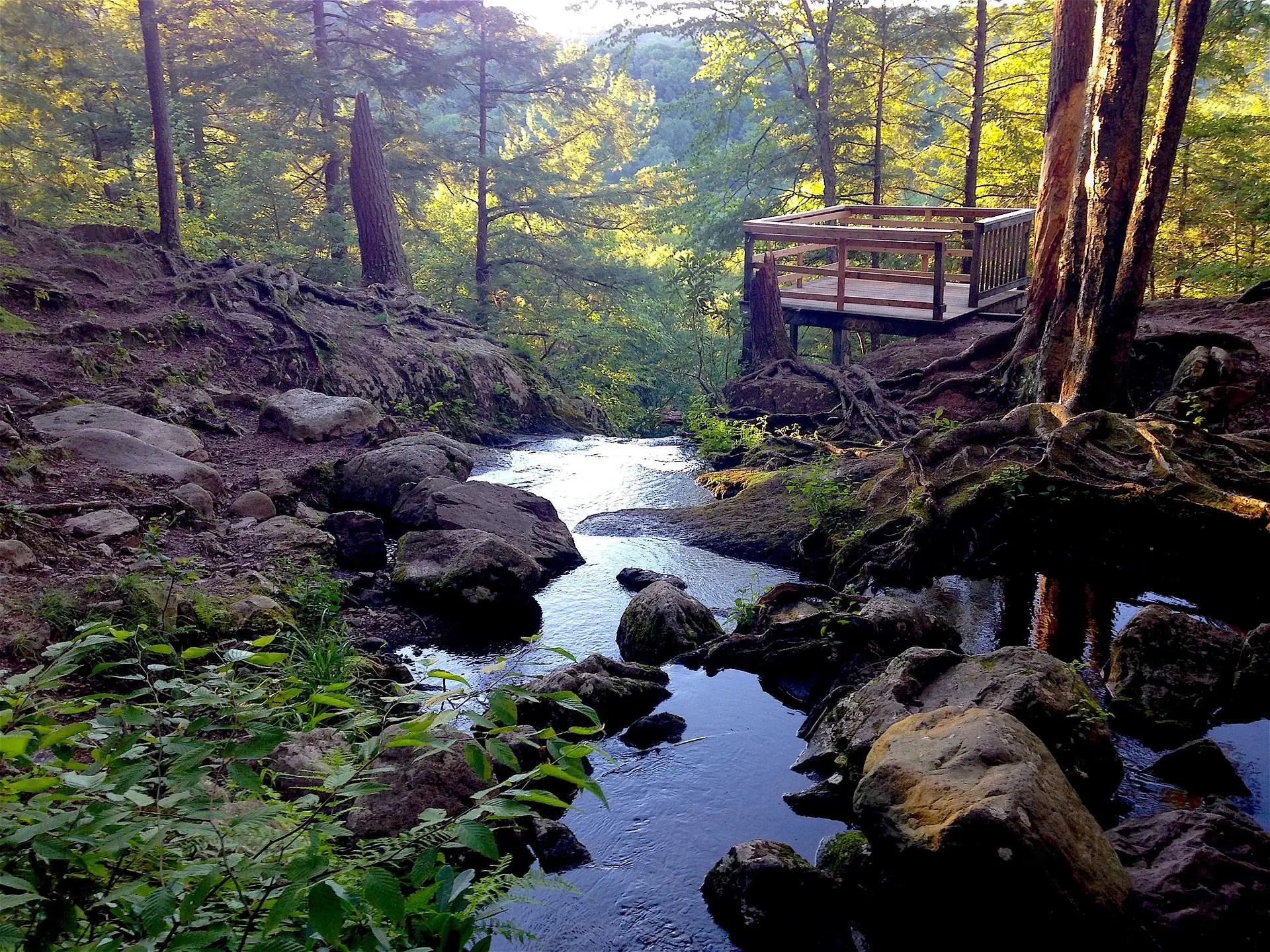 16 Best Amazing Waterfalls In Hamilton! waterfalls in hamilton