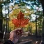 Things to do in paris Ontario