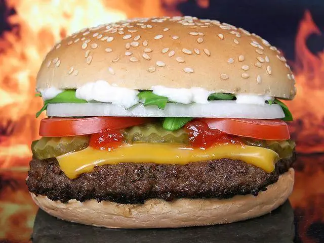 30 Best Ground Turkey Recipes Ground turkey burgers