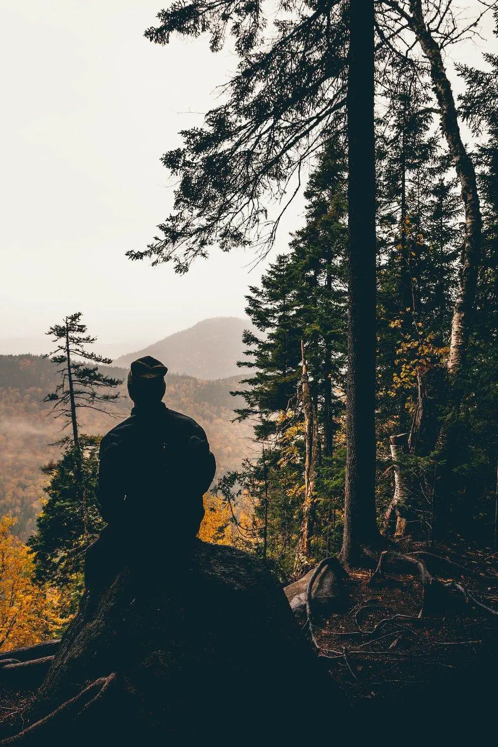 What Are 8 Activities to Try at Jacques Cartier National Park? Stoneham-et-TewkesBury