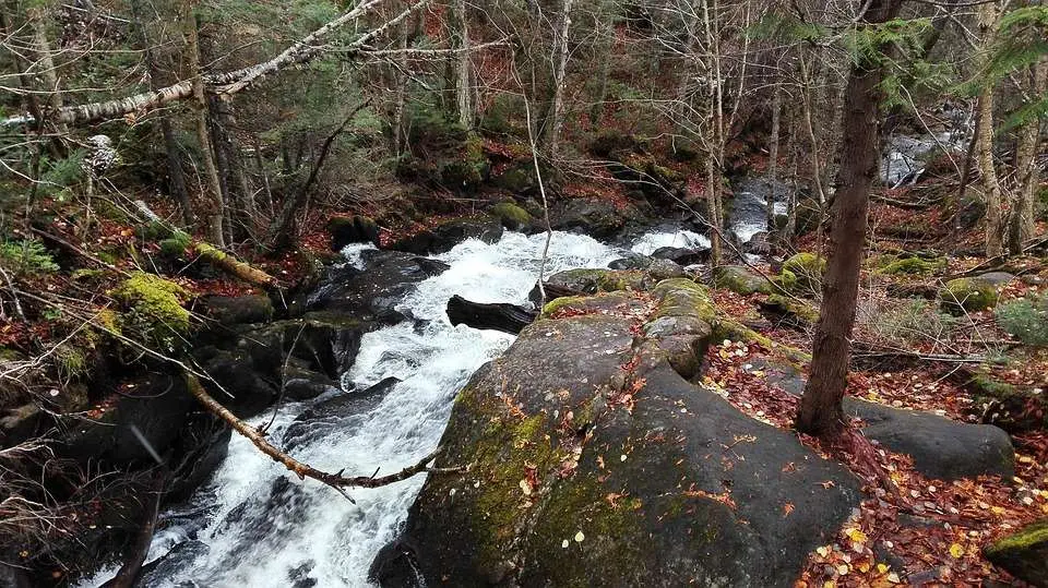 10 Exciting Things To Do In Gatineau Jacques Cartier Park